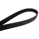 Purchase Top-Quality CONTINENTAL - 4060408S - Serpentine Belt pa2