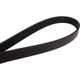 Purchase Top-Quality CONTINENTAL - 4060522 - Serpentine Belt by - Automotive V-Belt pa1