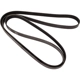 Purchase Top-Quality CONTINENTAL - 4060522 - Serpentine Belt by - Automotive V-Belt pa2