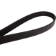 Purchase Top-Quality CONTINENTAL - 4060578 - Serpentine Belt - Automotive V- Belt pa2