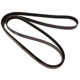 Purchase Top-Quality CONTINENTAL - 4060590 - Serpentine Belt pa1