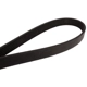 Purchase Top-Quality CONTINENTAL - 4060590 - Serpentine Belt pa2