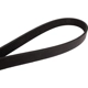 Purchase Top-Quality CONTINENTAL - 4060644F - Serpentine Belt - Automotive V-Belt pa1