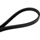 Purchase Top-Quality CONTINENTAL - 4060672F - Serpentine Belt pa2