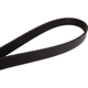 Purchase Top-Quality CONTINENTAL - 4060792 - Multi-V Belt pa1