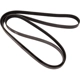 Purchase Top-Quality CONTINENTAL - 4060792 - Multi-V Belt pa2