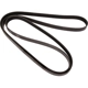 Purchase Top-Quality CONTINENTAL - 4060842 - Multi-V Belt pa1