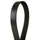 Purchase Top-Quality CONTINENTAL - 4060900 - Serpentine Belt - Automotive V-Belt pa3