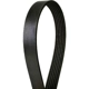 Purchase Top-Quality CONTINENTAL - 4061062 - Serpentine Belt - Automotive V-Belt pa1