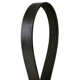 Purchase Top-Quality CONTINENTAL - 4061105 - Serpentine Belt - Automotive V-Belt pa1