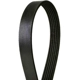 Purchase Top-Quality CONTINENTAL - 4061280 - Serpentine Belt - Automotive V-Belt pa1