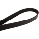 Purchase Top-Quality CONTINENTAL - 4061280 - Serpentine Belt - Automotive V-Belt pa3