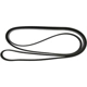 Purchase Top-Quality CONTINENTAL - 4070852 - Courroie serpentine - Automotive V-Belt pa1