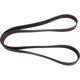 Purchase Top-Quality CONTINENTAL - 4080352 - Multi-V Belt pa1
