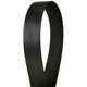 Purchase Top-Quality CONTINENTAL - 4080435 - Serpentine Belt - Automotive V-Belt pa2