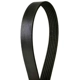 Purchase Top-Quality CONTINENTAL - 4080595 - Serpentine Belt - Automotive V-Belt pa2