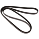 Purchase Top-Quality CONTINENTAL - 4080595 - Serpentine Belt - Automotive V-Belt pa3