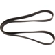 Purchase Top-Quality Serpentine Belt by CONTINENTAL - 4080820 pa1