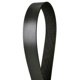 Purchase Top-Quality CONTINENTAL - 4080841 - Serpentine Belt - Automotive V-Belt pa2
