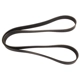 Purchase Top-Quality CONTINENTAL - 4080841 - Serpentine Belt - Automotive V-Belt pa3