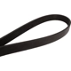 Purchase Top-Quality CONTINENTAL - 408K6SMK - Mileage Maker Multi-V Belt pa2
