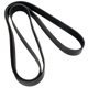 Purchase Top-Quality CONTINENTAL - 4100877 - Serpentine Belt - Automotive V-Belt pa3