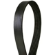 Purchase Top-Quality CONTINENTAL - 435K6MK - Mileage Maker Multi V Belt pa3