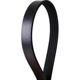 Purchase Top-Quality CONTINENTAL - 448K5MK - Mileage Maker V Belt pa4