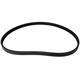 Purchase Top-Quality CONTINENTAL - 4K1045 - Serpentine Belt pa4