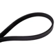 Purchase Top-Quality CONTINENTAL - 4K605 - Serpentine Belt pa4