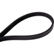 Purchase Top-Quality CONTINENTAL - 4PK1195 - Serpentine Belt pa2