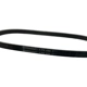 Purchase Top-Quality CONTINENTAL - 4PK698 - Serpentine Belt pa2