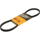 Purchase Top-Quality CONTINENTAL - 4PK819ELAST - Serpentine Belt pa3