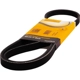 Purchase Top-Quality CONTINENTAL - 4PK850 - Serpentine Belt pa2