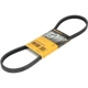 Purchase Top-Quality CONTINENTAL - 4PK885ELAST - V-Ribbed Belt pa3