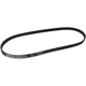 Purchase Top-Quality CONTINENTAL - 4PK915 - Serpentine Belt pa2