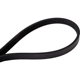 Purchase Top-Quality CONTINENTAL - 4PK975 - Serpentine Belt pa2