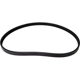 Purchase Top-Quality Serpentine Belt by CONTINENTAL - 500K4MK pa1