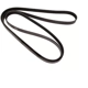 Purchase Top-Quality CONTINENTAL - 505K6MK - Serpentine Belt pa2