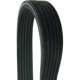 Purchase Top-Quality CONTINENTAL - 519DK6MK - Mileage Maker Dual-Sided Multi V-Belt pa2