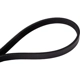 Purchase Top-Quality Serpentine Belt by CONTINENTAL - 545K5MK pa2