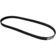 Purchase Top-Quality CONTINENTAL - 5PK847 - Drive Belt pa1