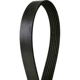 Purchase Top-Quality CONTINENTAL - 612K6MK - Metric Multi V-Belt pa3