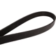 Purchase Top-Quality Serpentine Belt by CONTINENTAL - 615K6MK pa4