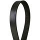 Purchase Top-Quality CONTINENTAL - 672K6MK - Serpentine Belt pa1