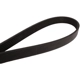 Purchase Top-Quality CONTINENTAL - 672K6MK - Serpentine Belt pa2
