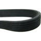 Purchase Top-Quality CONTINENTAL - 6DPK1195 - Serpentine Belt pa2