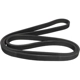 Purchase Top-Quality CONTINENTAL - 6DPK1853 - Accessory Drive Belt pa3