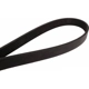 Purchase Top-Quality CONTINENTAL - 6K1300 - Metric Multi V-Belt pa4