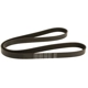 Purchase Top-Quality CONTINENTAL - 6K1411 - Serpentine Belt pa1